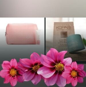 4pc Kopari Bundle-Travel Bag & Kopari 3pc Travel Sizes Skincares
